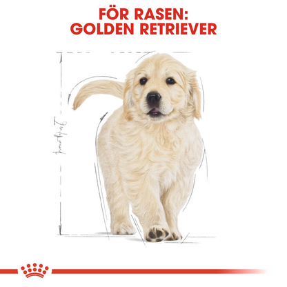 Royal Canin Golden Retriever Puppy Torrfoder för hundvalp