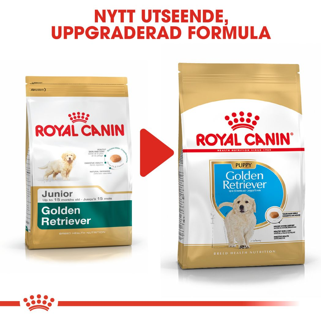 Royal Canin Golden Retriever Puppy Torrfoder för hundvalp