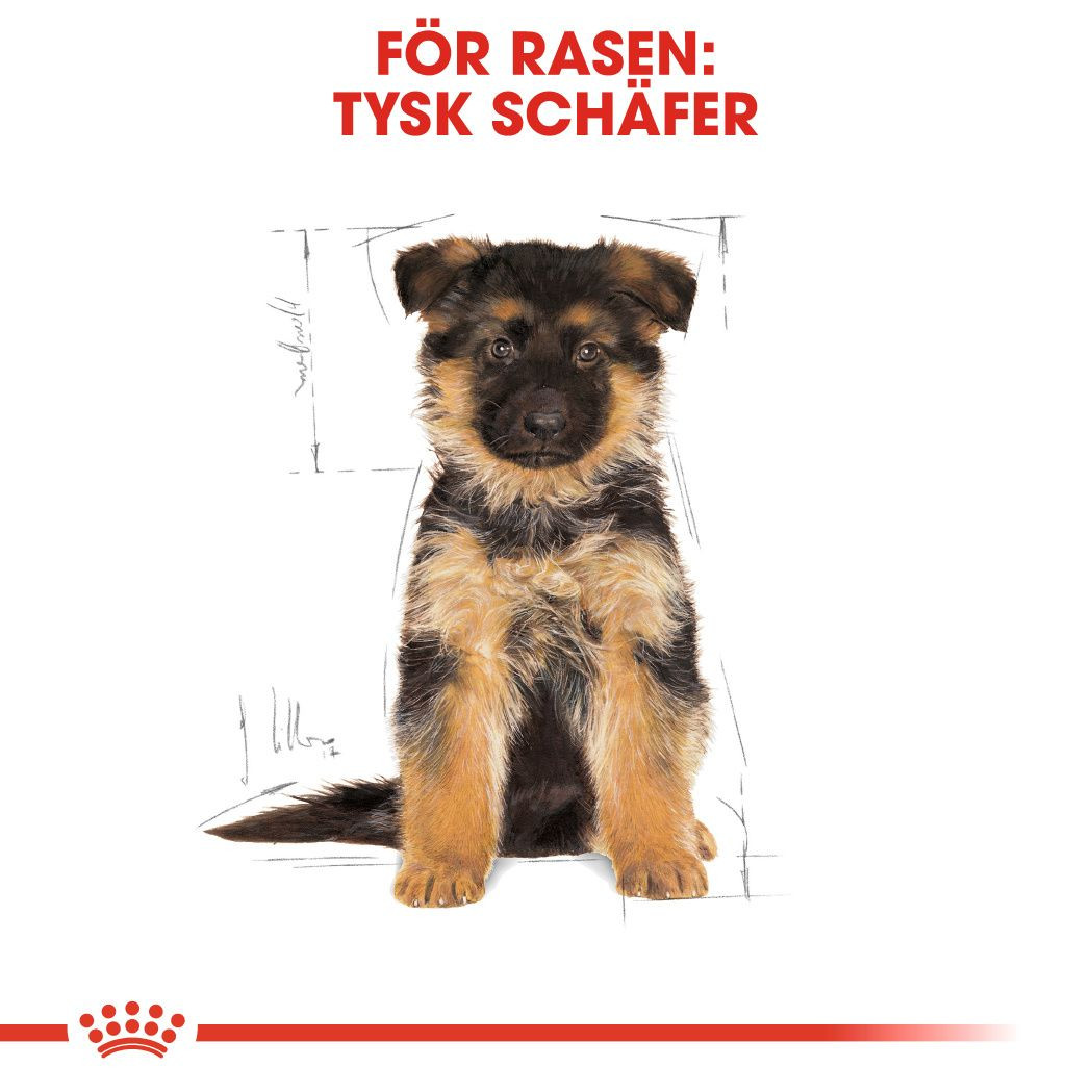 Royal Canin German Shepherd Puppy Torrfoder för hundvalp