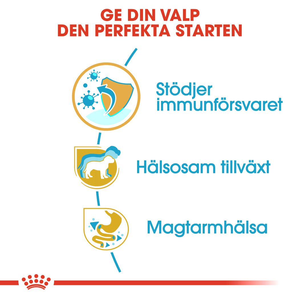 Royal Canin Jack Russel Puppy Torrfoder för hundvalp