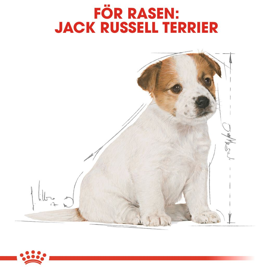 Royal Canin Jack Russel Puppy Torrfoder för hundvalp