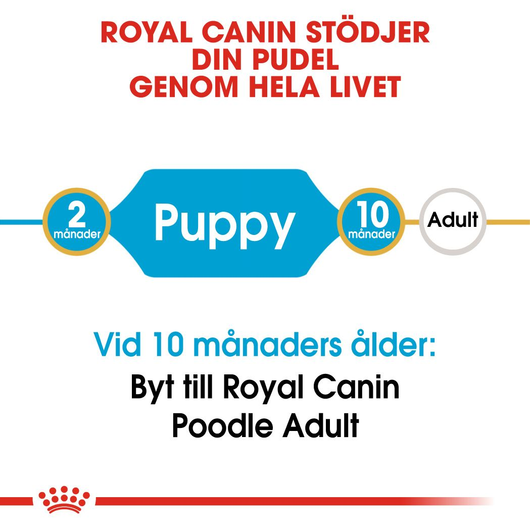 Royal Canin Poodle Puppy Torrfoder för hundvalp