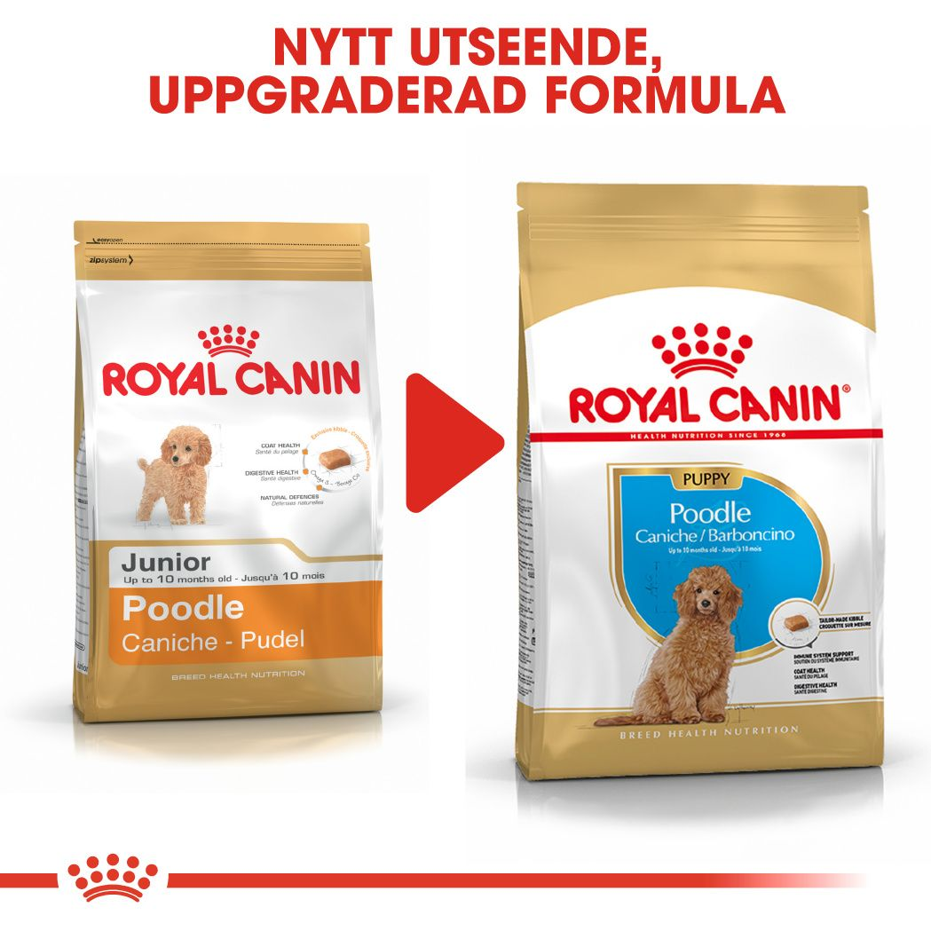 Royal Canin Poodle Puppy Torrfoder för hundvalp