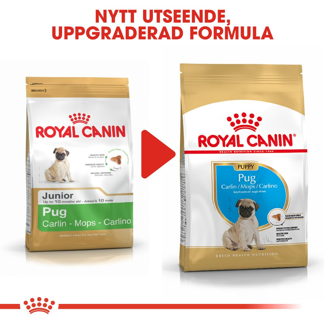 Royal Canin Pug Puppy Torrfoder för hundvalp