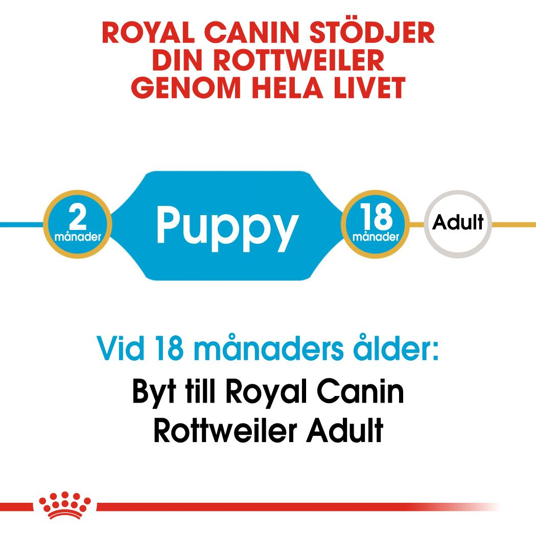 Royal Canin Rottweiler Puppy Torrfoder för hundvalp