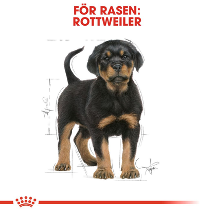 Royal Canin Rottweiler Puppy Torrfoder för hundvalp