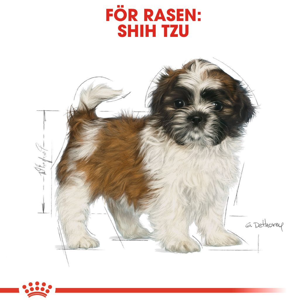 Royal Canin Shih Tzu Puppy Torrfoder för hundvalp