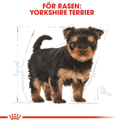 Royal Canin Yorkshire Terrier Puppy Torrfoder för hundvalp