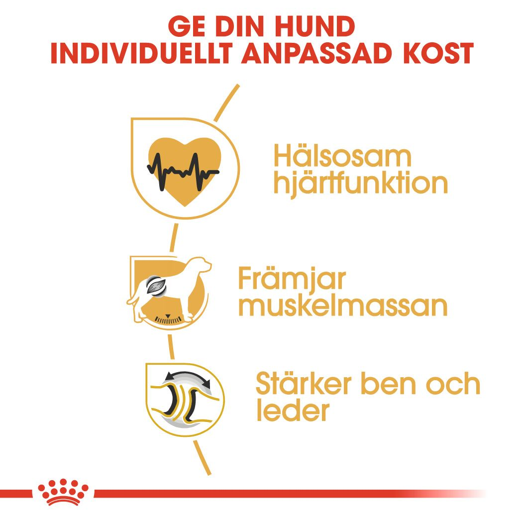 Royal Canin Rottweiler Adult Torrfoder för hund