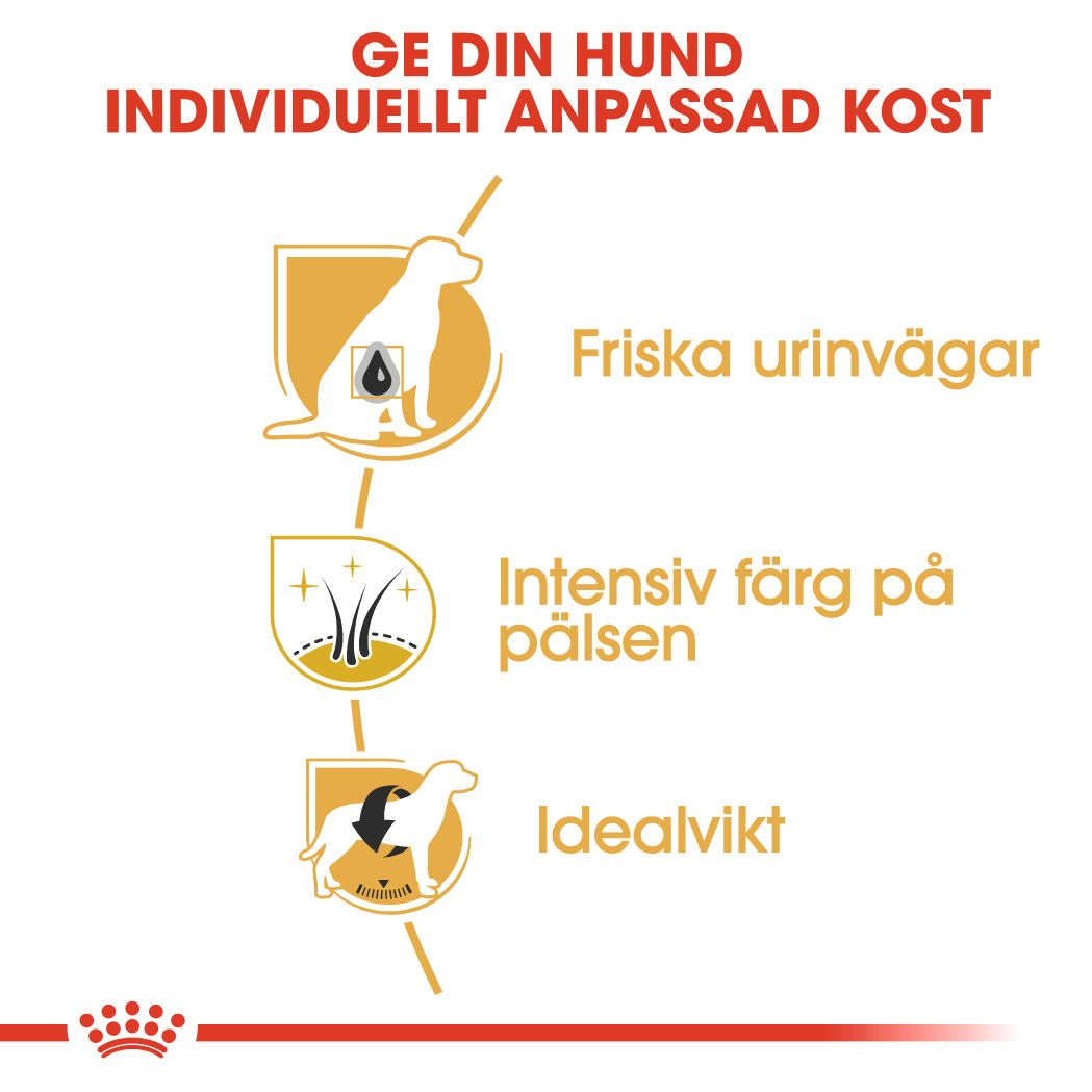 Royal Canin Miniature Schnauzer Adult Torrfoder för hund