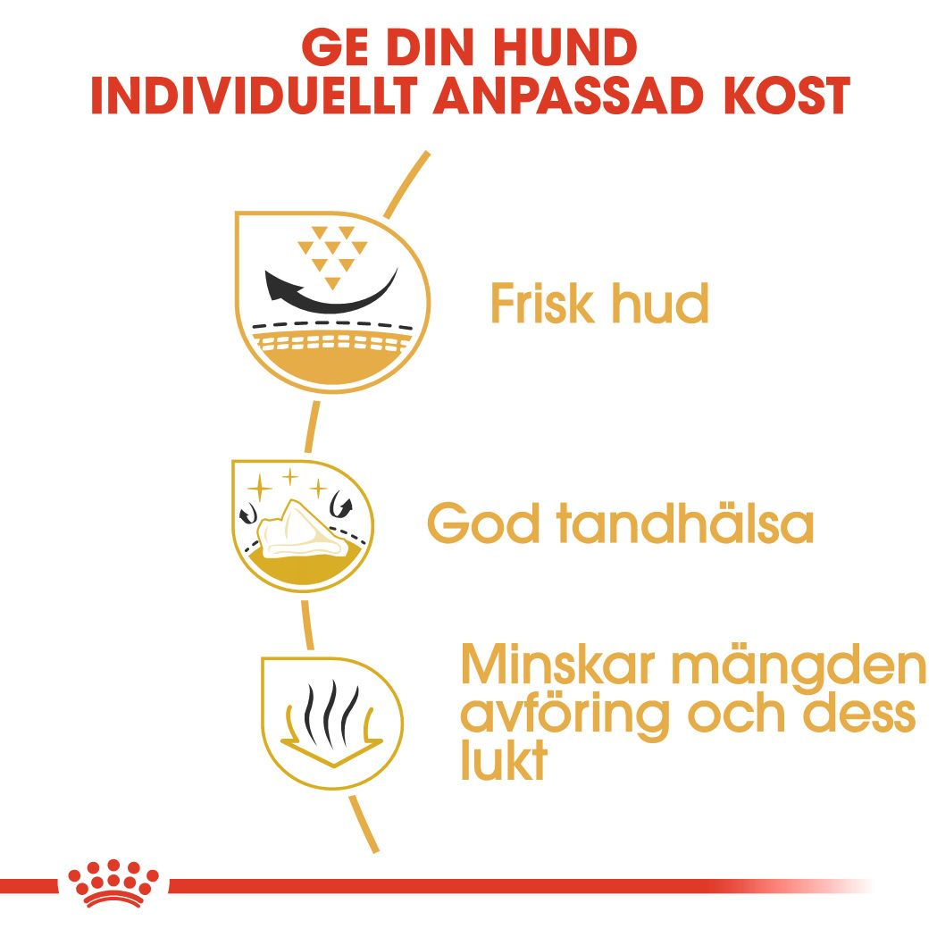 Royal Canin Shih Tzu Adult Torrfoder för hund