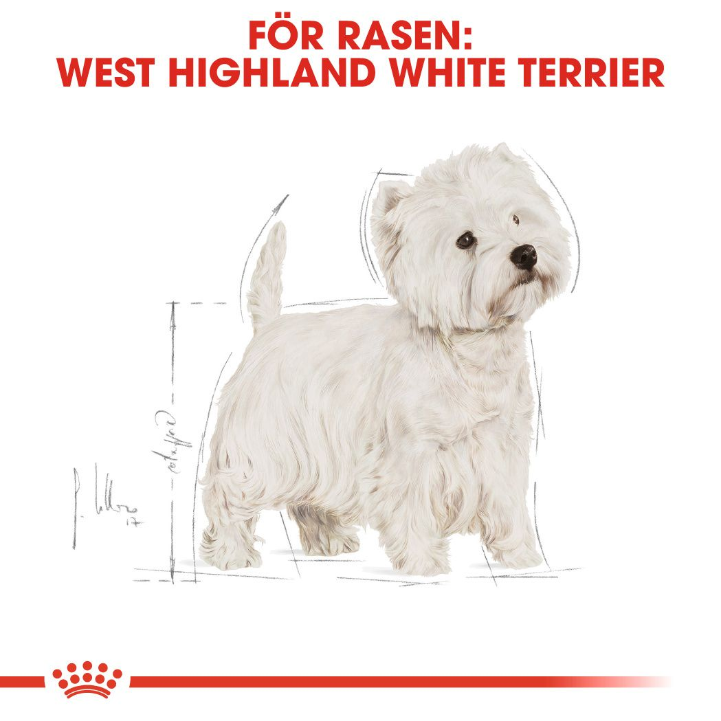 Royal Canin West Highland White Adult Torrfoder för hund