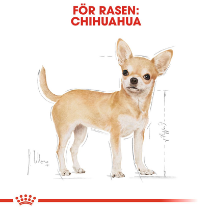 Royal Canin Chihuahua Adult Våtfoder för hund