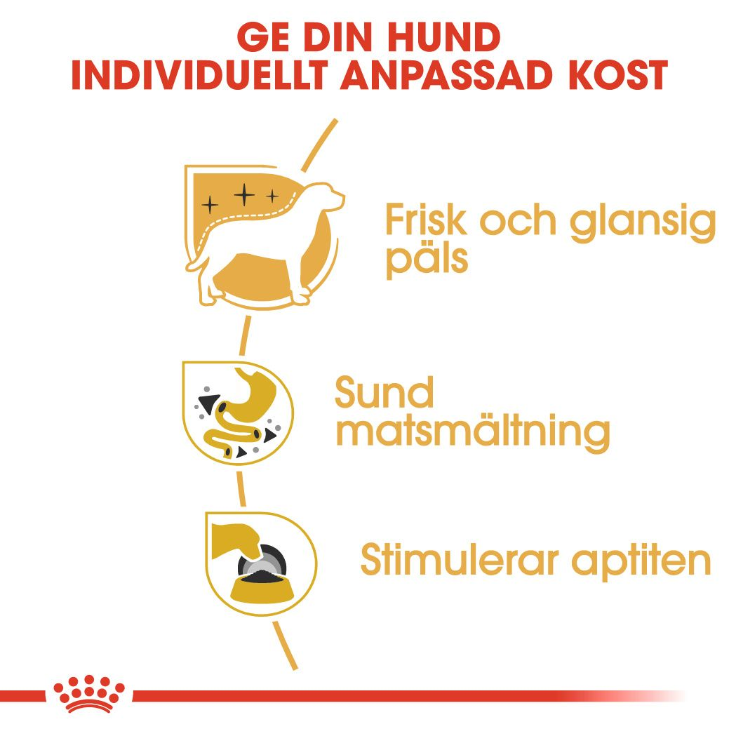 Royal Canin Chihuahua Adult Våtfoder för hund