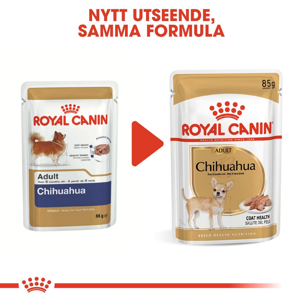Royal Canin Chihuahua Adult Våtfoder för hund