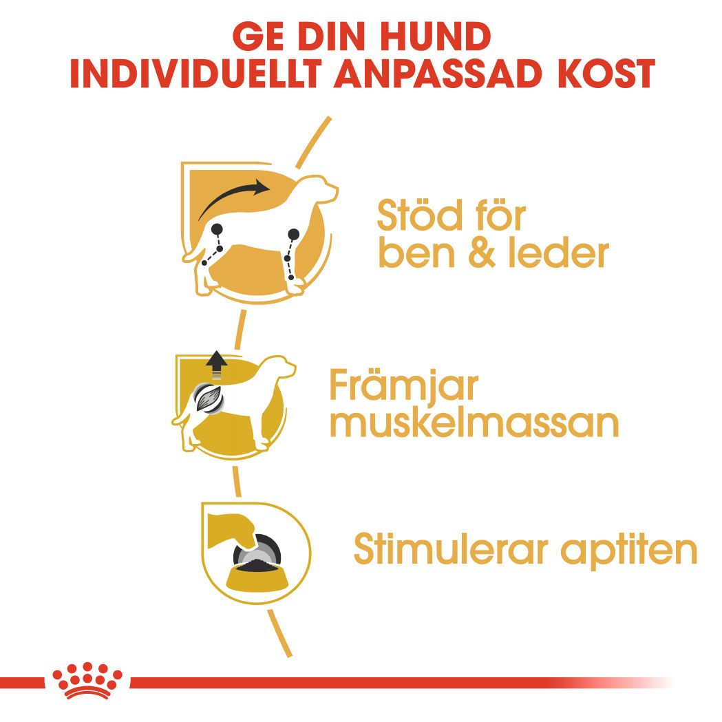 Royal Canin Dachshund Adult Våtfoder för hund
