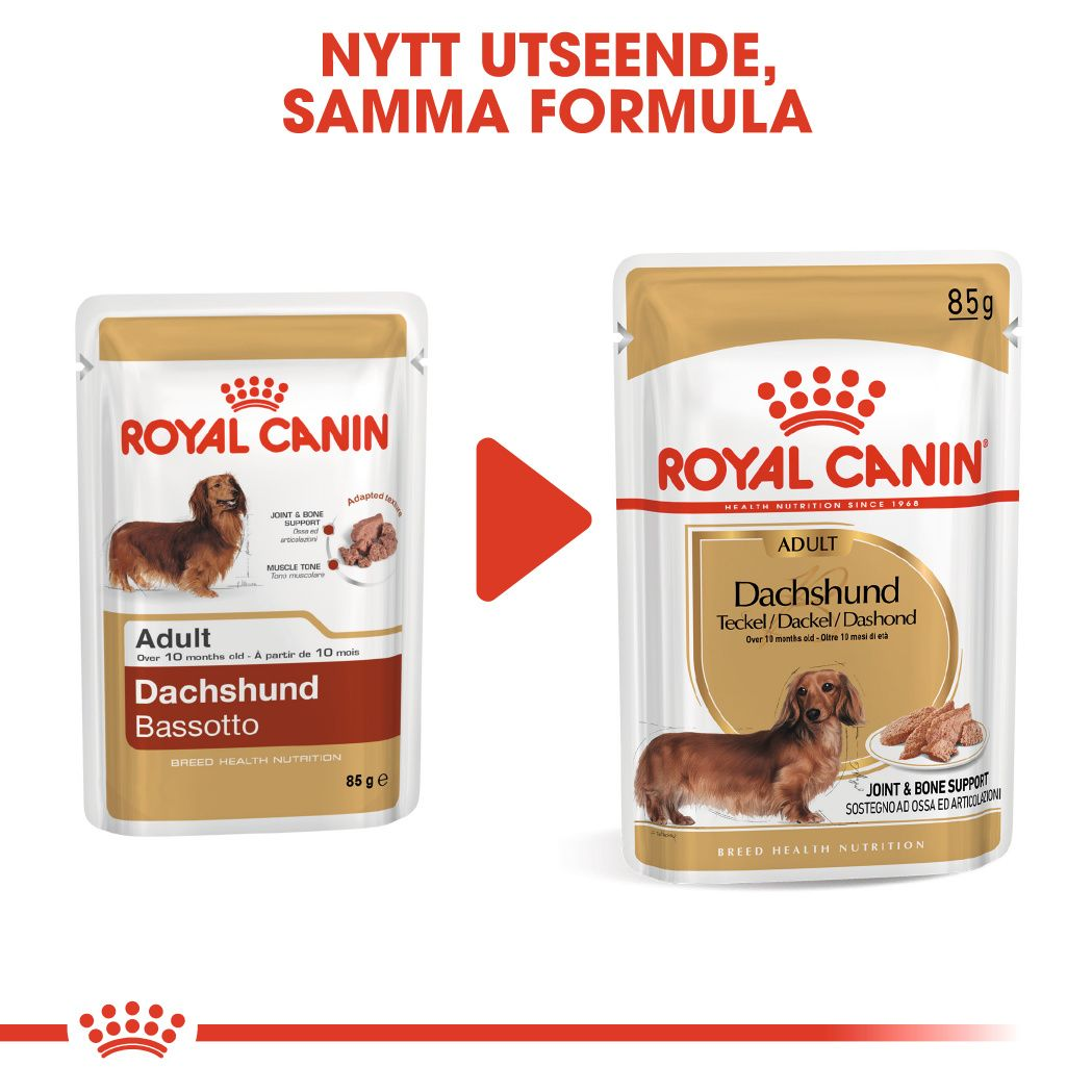 Royal Canin Dachshund Adult Våtfoder för hund