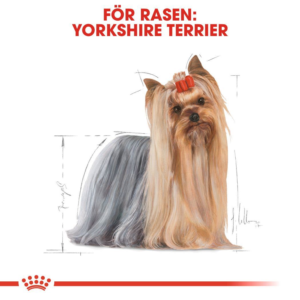 Royal Canin Yorkshire Terrier Adult Våtfoder för hund