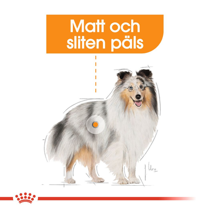 Royal Canin Coat Care Adult MINI Torrfoder för hund