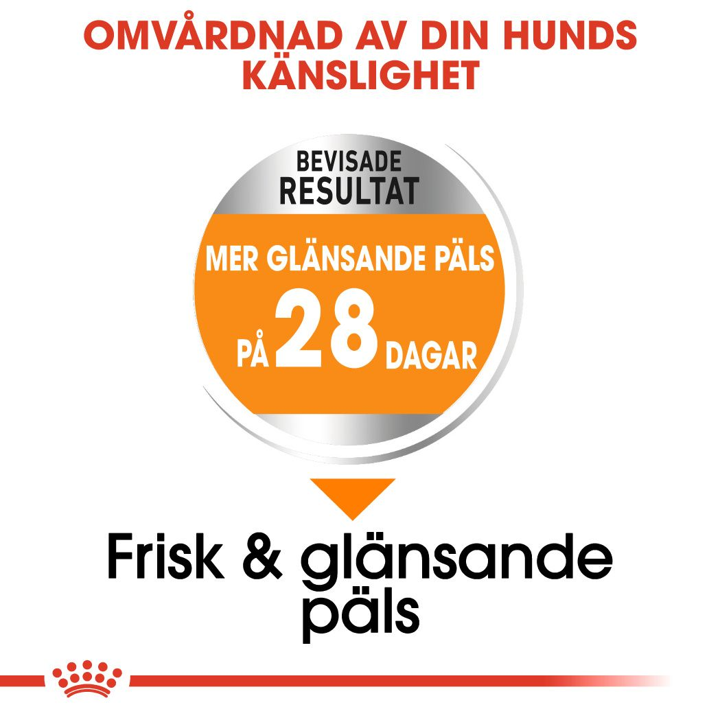 Royal Canin Coat Care Adult MINI Torrfoder för hund