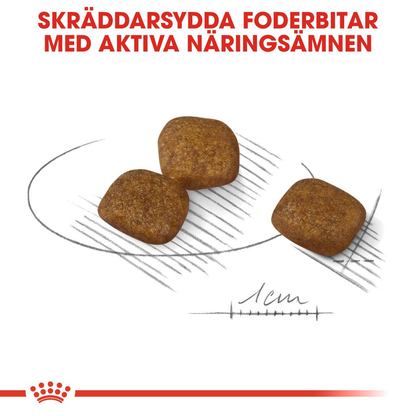 Royal Canin Coat Care Adult MINI Torrfoder för hund
