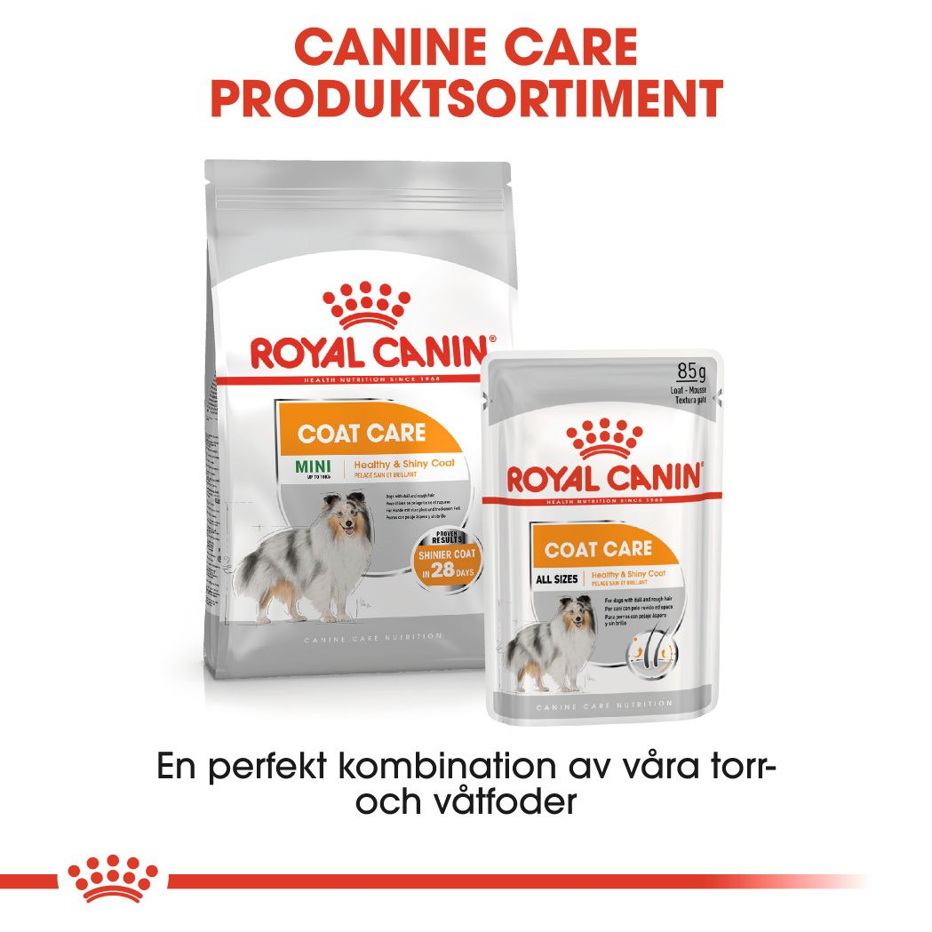 Royal Canin Coat Care Adult MINI Torrfoder för hund