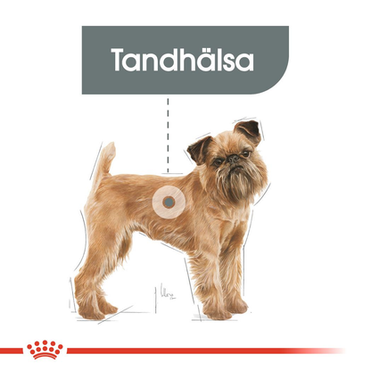 Royal Canin Dental Care Adult MINI Torrfoder för hund