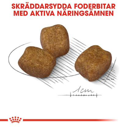 Royal Canin Dental Care Adult MINI Torrfoder för hund