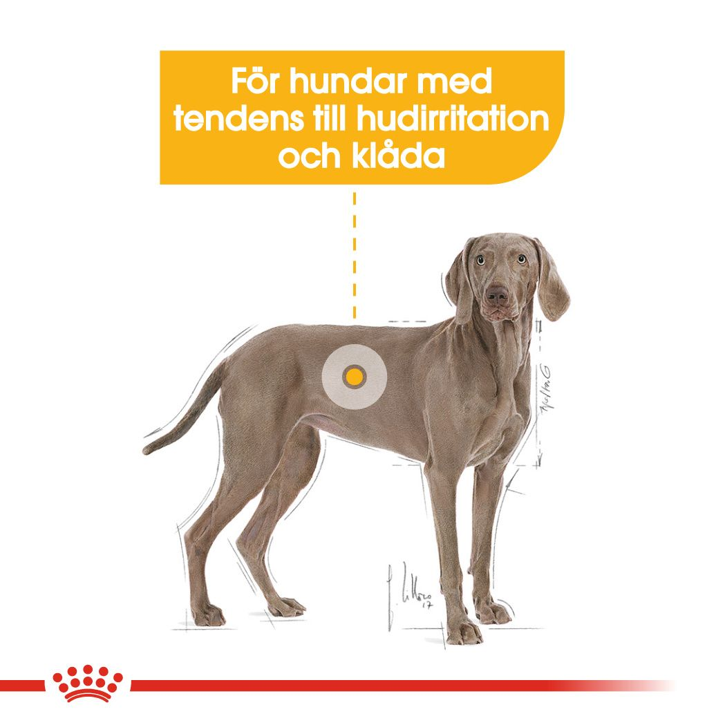 Royal Canin Dermacomfort Adult MAXI Torrfoder för hund