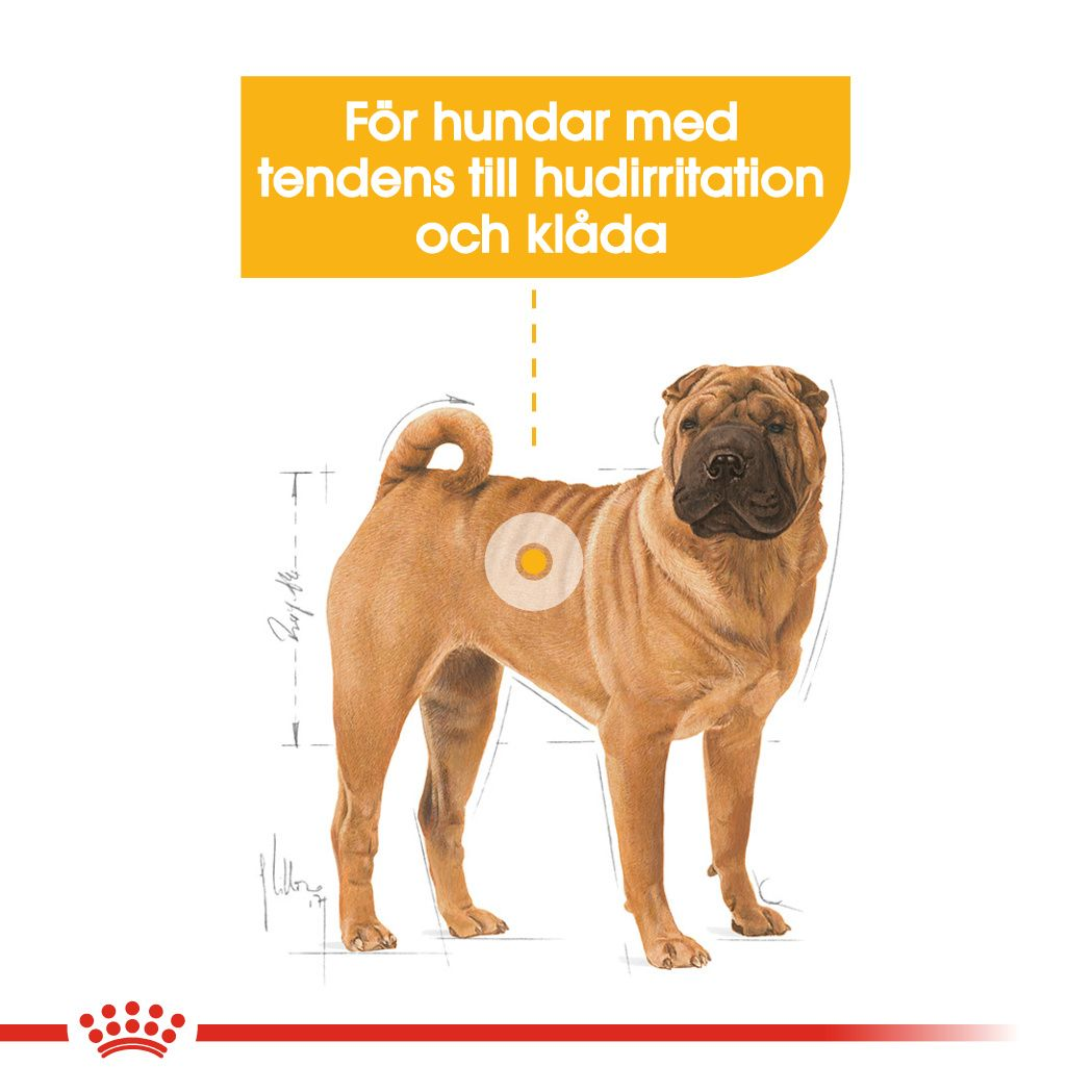 Royal Canin Dermacomfort Adult MEDIUM Torrfoder för hund