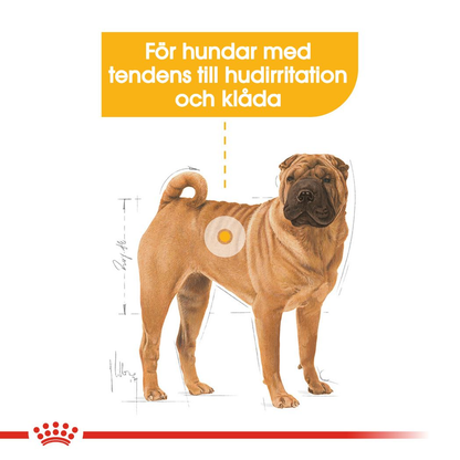 Royal Canin Dermacomfort Adult MEDIUM Torrfoder för hund