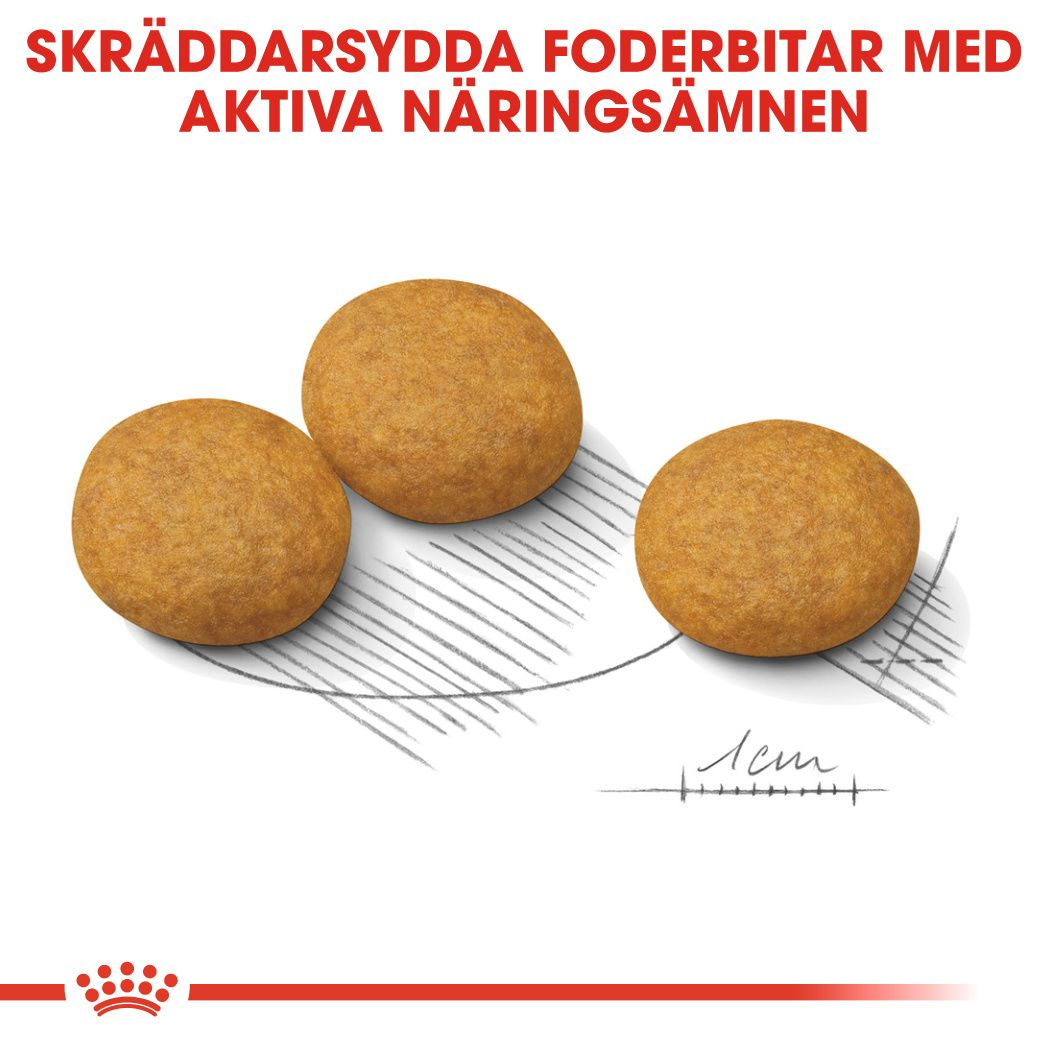 Royal Canin Dermacomfort Adult MEDIUM Torrfoder för hund