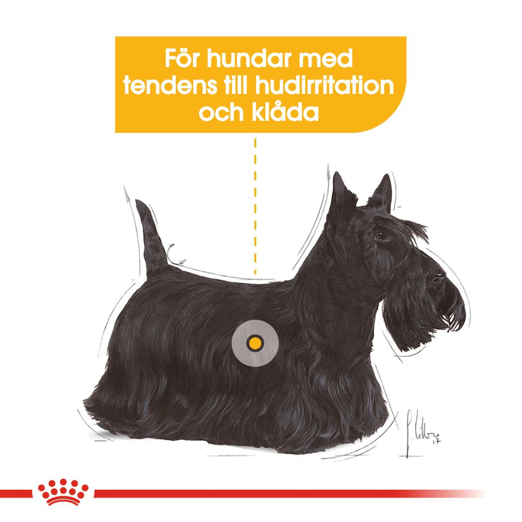 Royal Canin Dermacomfort Adult MINI Torrfoder för hund