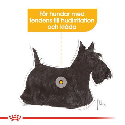 Royal Canin Dermacomfort Adult MINI Torrfoder för hund