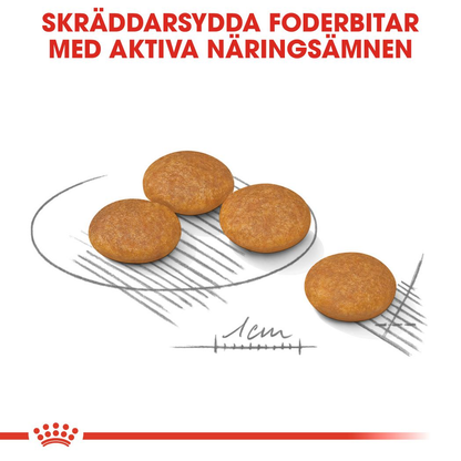 Royal Canin Dermacomfort Adult MINI Torrfoder för hund