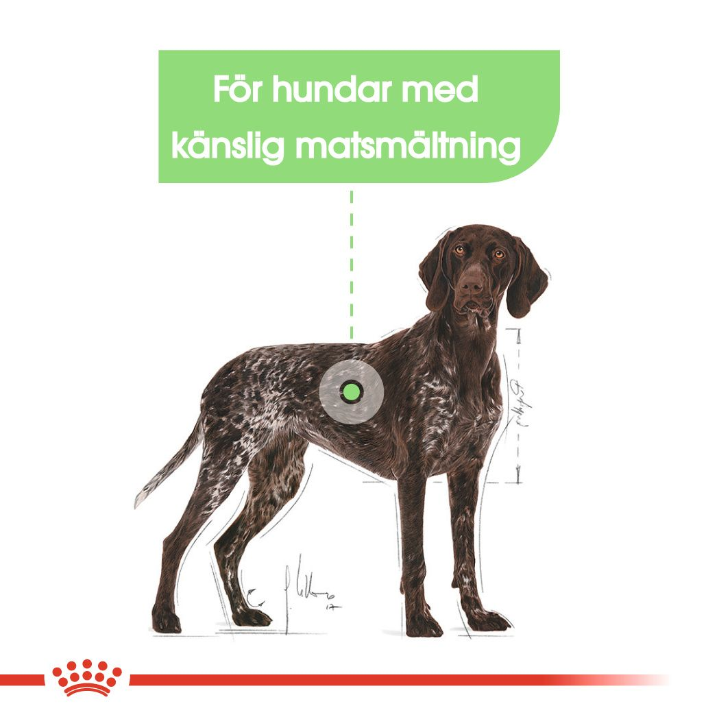 Royal Canin Digestive Care Adult MAXI Torrfoder för hund