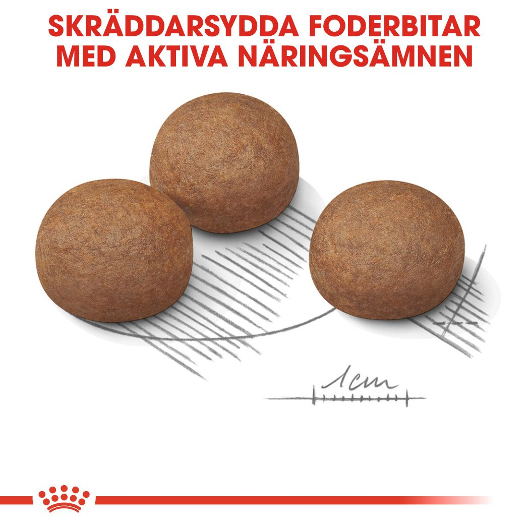 Royal Canin Digestive Care Adult MAXI Torrfoder för hund