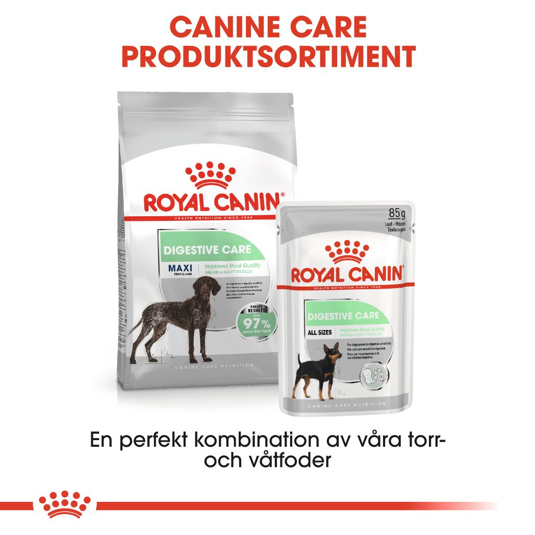 Royal Canin Digestive Care Adult MAXI Torrfoder för hund
