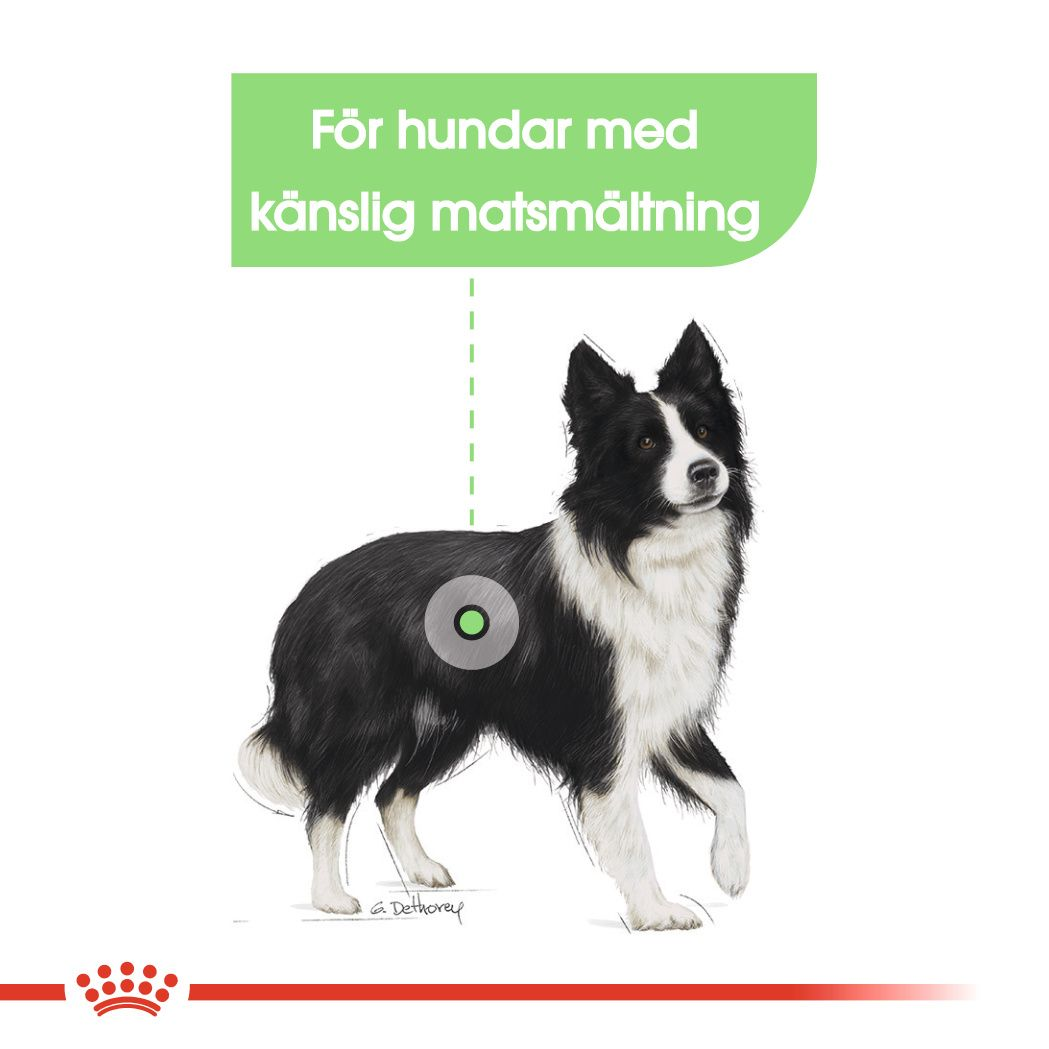 Royal Canin Digestive Care Adult MEDIUM Torrfoder för hund