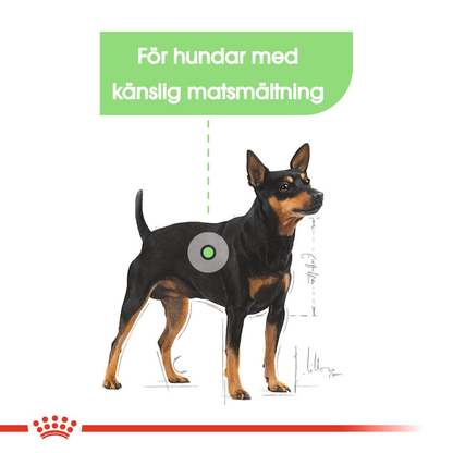 Royal Canin Digestive Care Adult MINI Torrfoder för hund