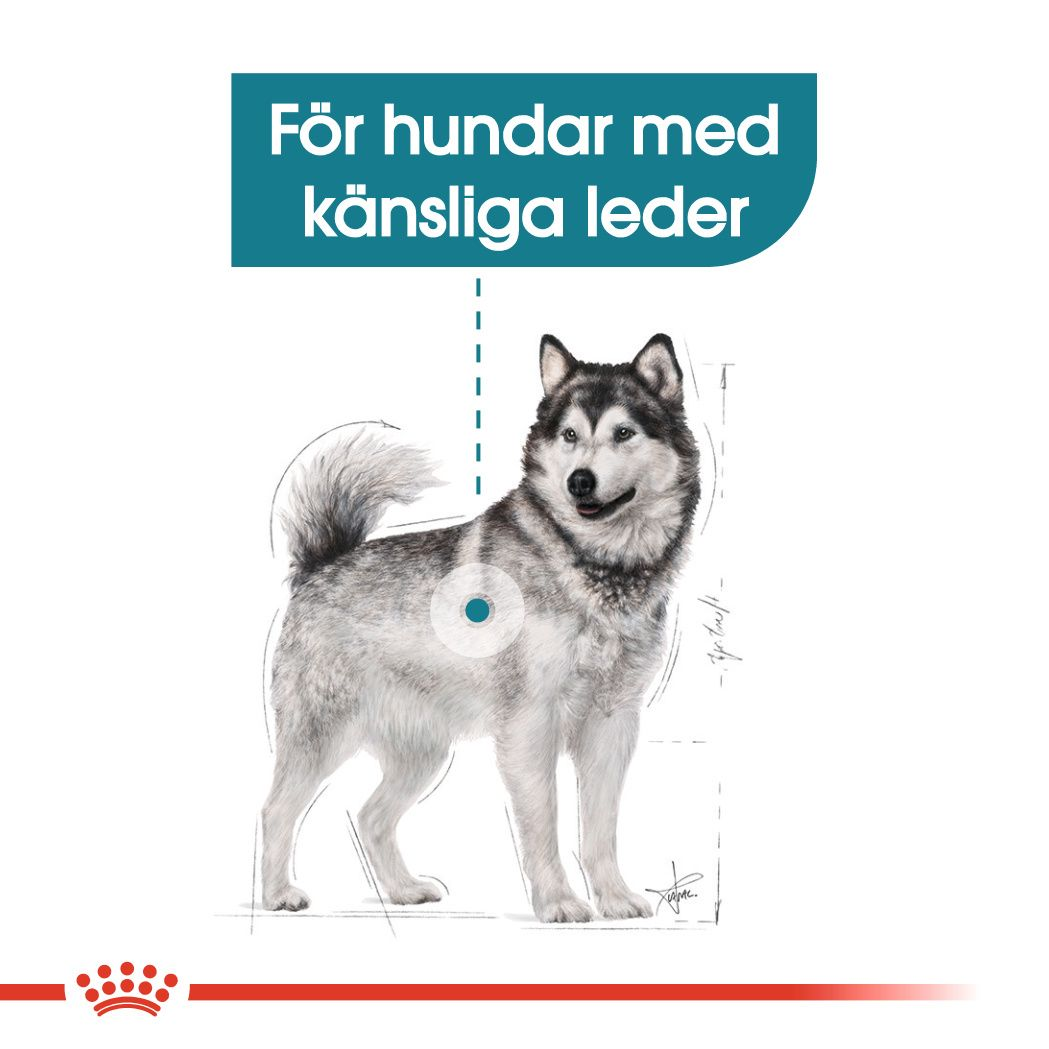 Royal Canin Joint Care Adult MAXI Torrfoder för hund