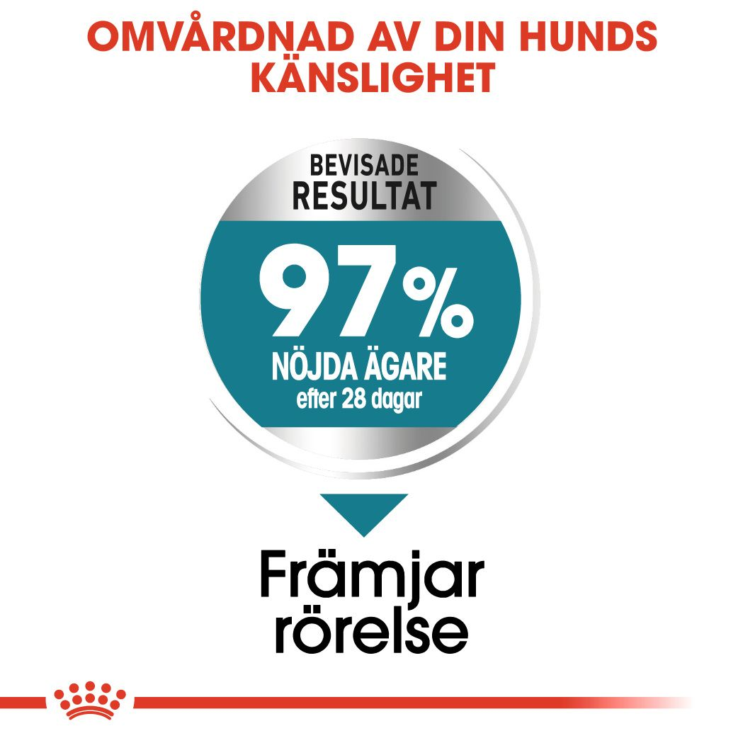 Royal Canin Joint Care Adult MAXI Torrfoder för hund