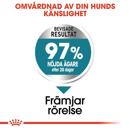 Royal Canin Joint Care Adult MAXI Torrfoder för hund