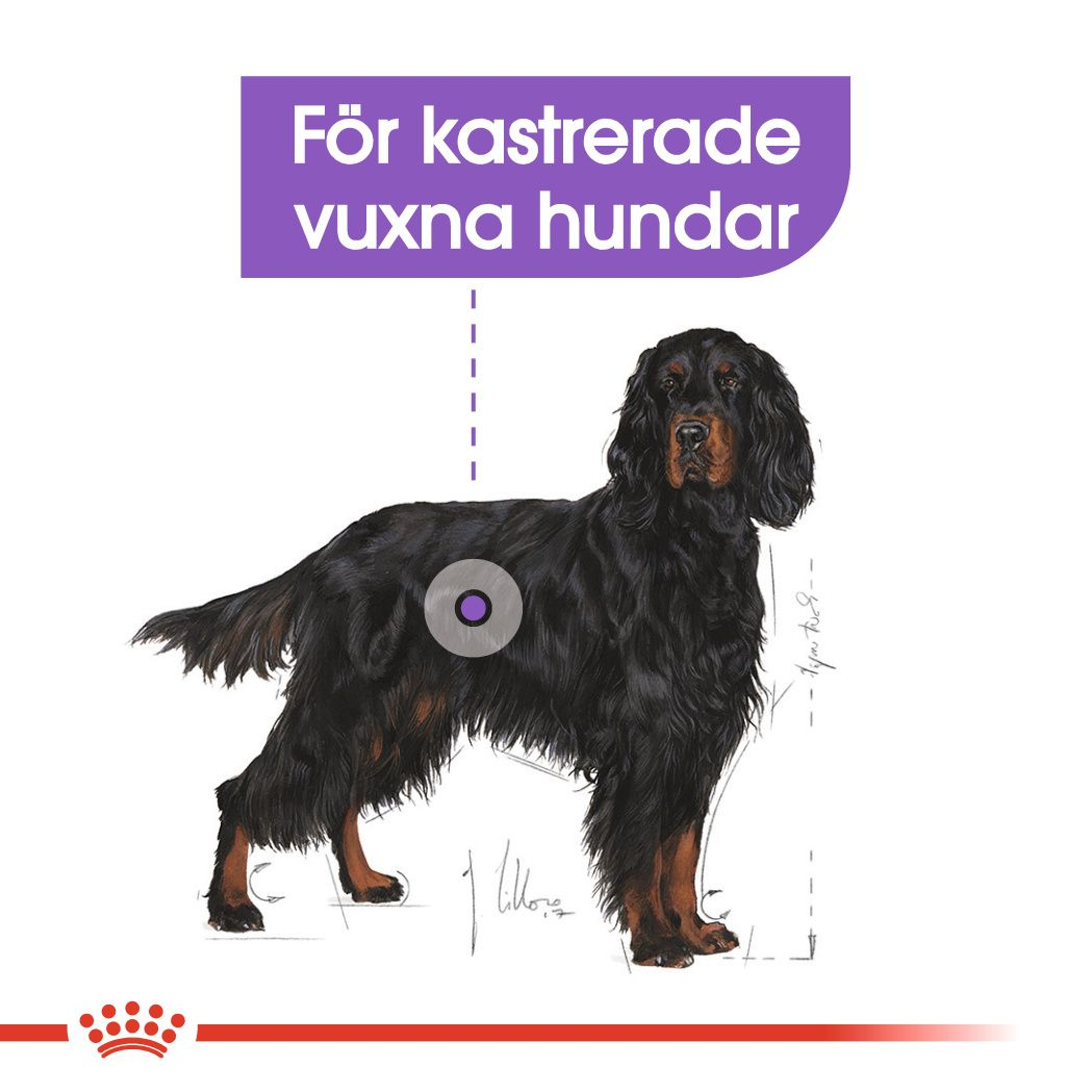 Royal Canin Sterilised Adult MAXI Torrfoder för hund