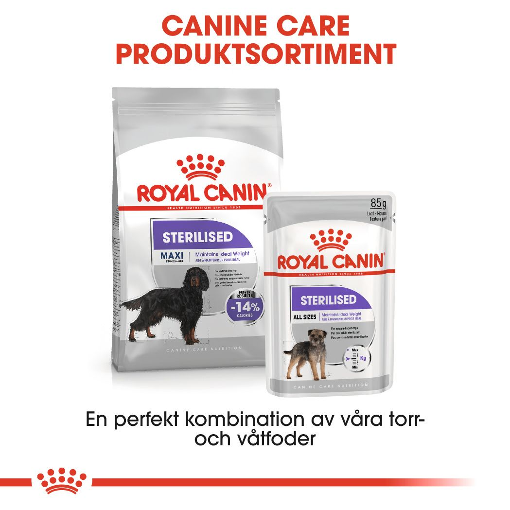 Royal Canin Sterilised Adult MAXI Torrfoder för hund