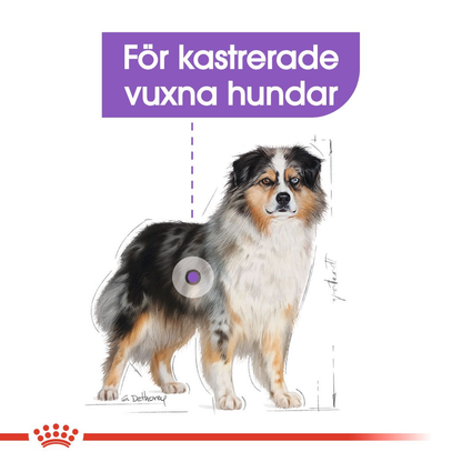 Royal Canin Sterilised Adult MEDIUM Torrfoder för hund