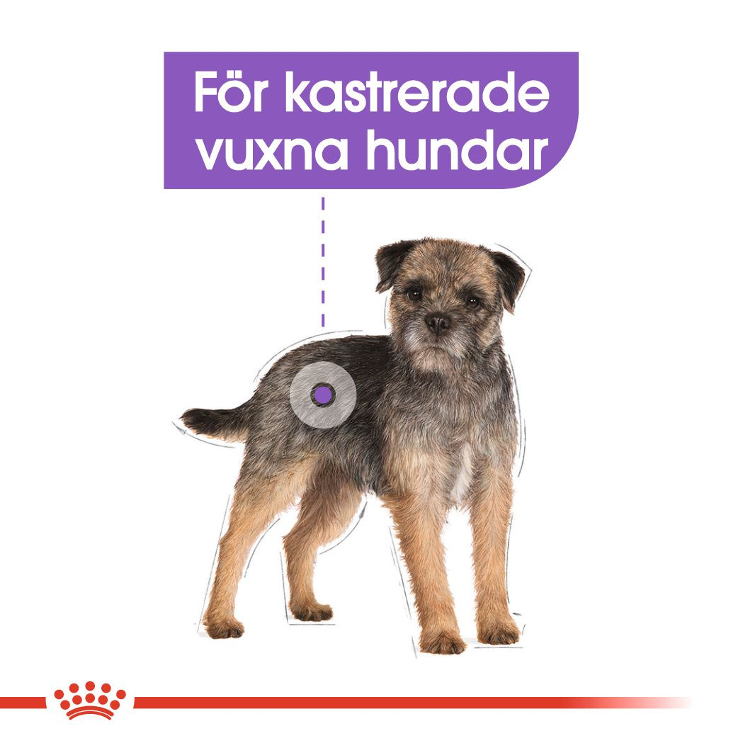 Royal Canin Sterilised Adult MINI Torrfoder för hund