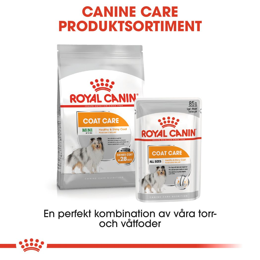 Royal Canin Coat Care Adult Våtfoder för hund