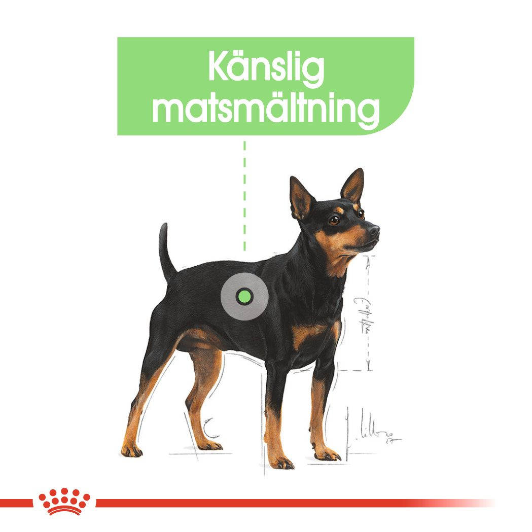 Royal Canin Digestive Care Adult Våtfoder för hund