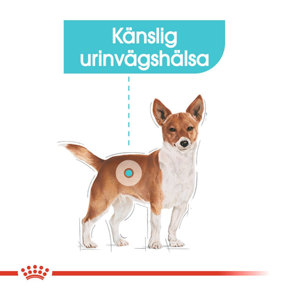 Royal Canin Urinary Care Adult Våtfoder för hund